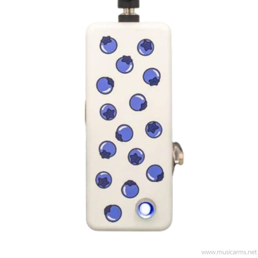 FruitFX Blueberry Buffer