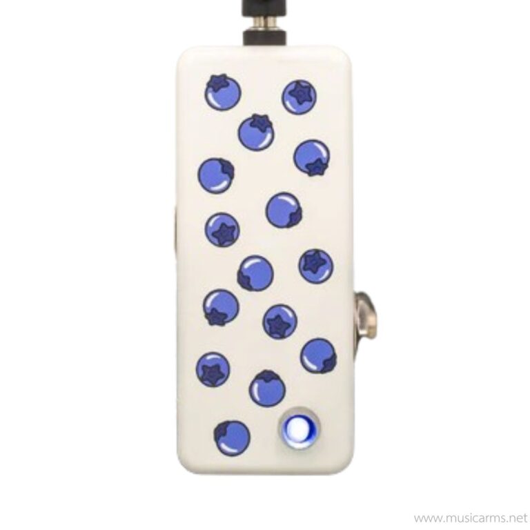 FruitFX Blueberry Buffer ขายราคาพิเศษ