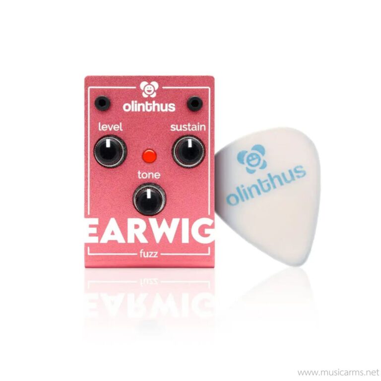 Olinthus Earwig ขายราคาพิเศษ