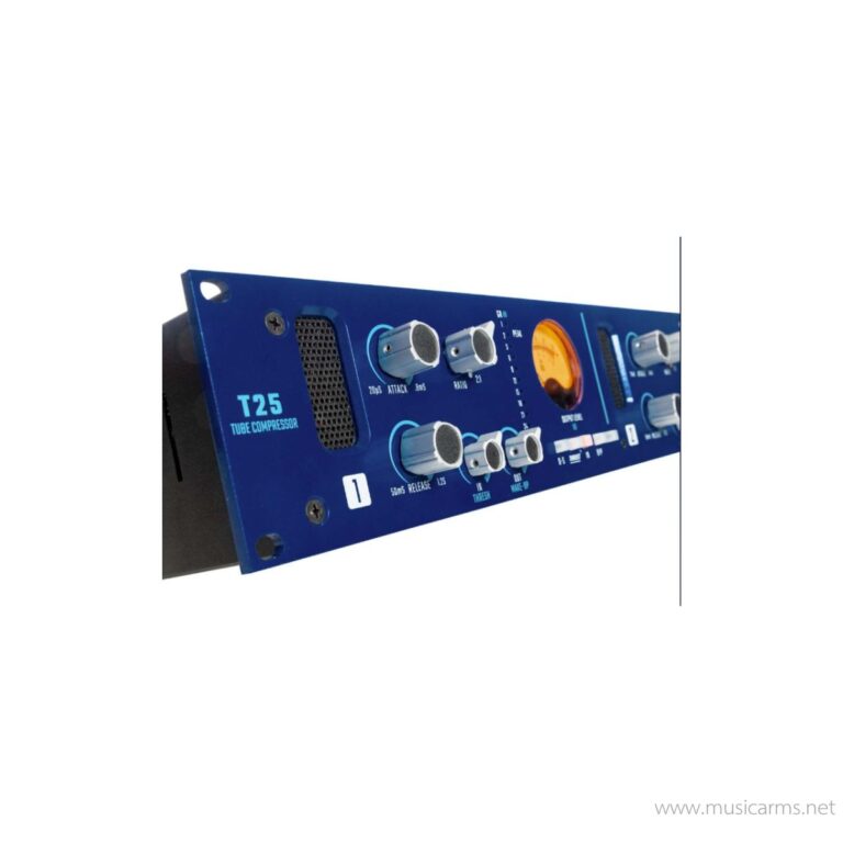 API Select T25 2-channel Tube Compressor ขายราคาพิเศษ