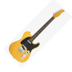 ทรง Telecaster Tele