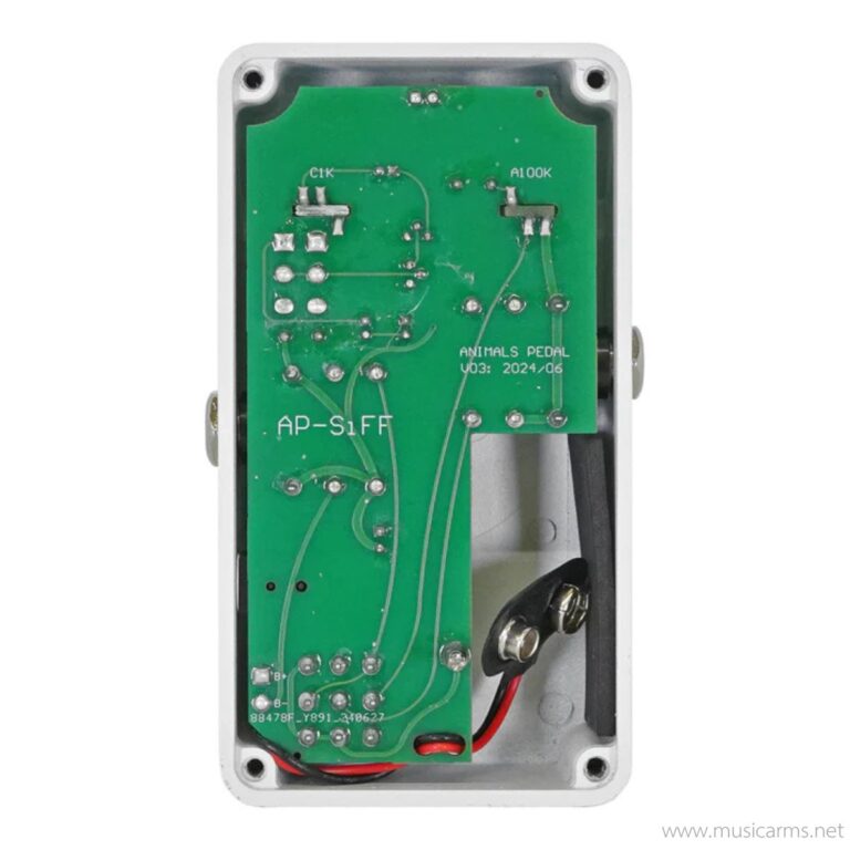 Animals Pedal ANGEL BEAR FACE FUZZ ขายราคาพิเศษ