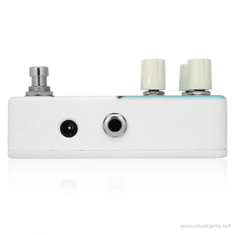 Animals Pedal FISHING IS AS FUN AS FUZZ ขายราคาพิเศษ