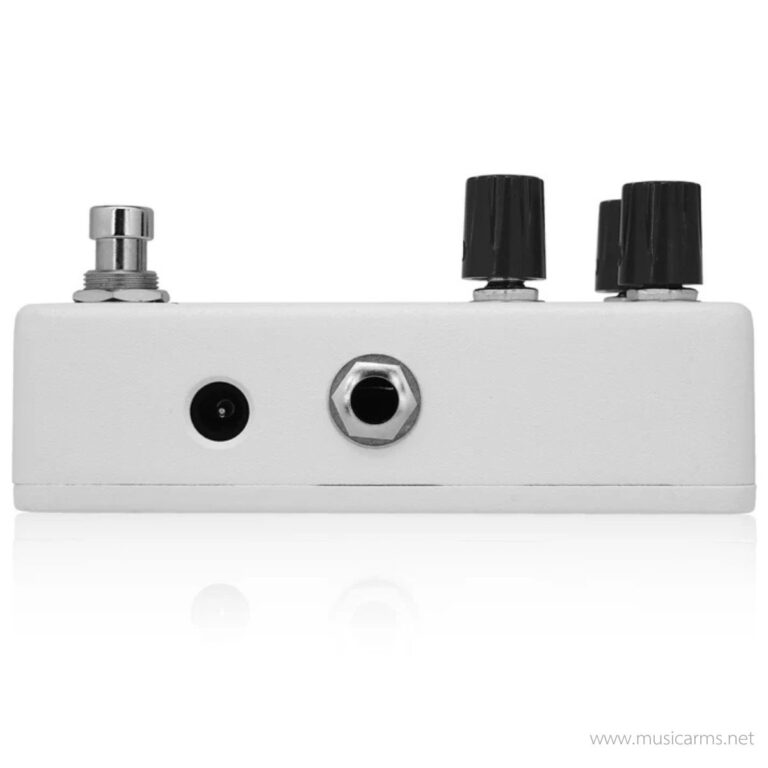 Animals Pedal RELAXING WALRUS DELAY ขายราคาพิเศษ