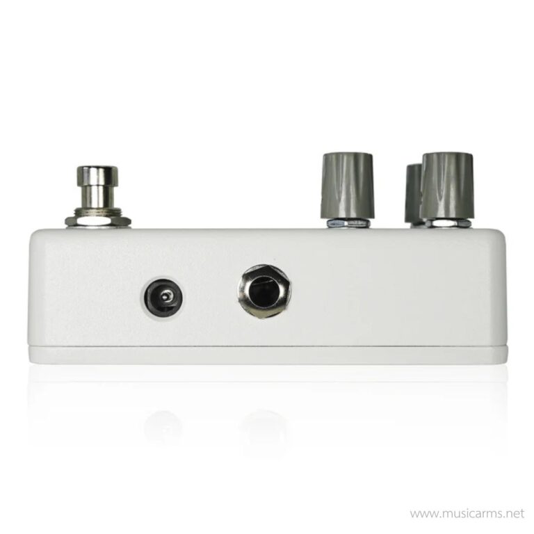 Animals Pedal Sunday Afternoon Is Infinity Bender ขายราคาพิเศษ