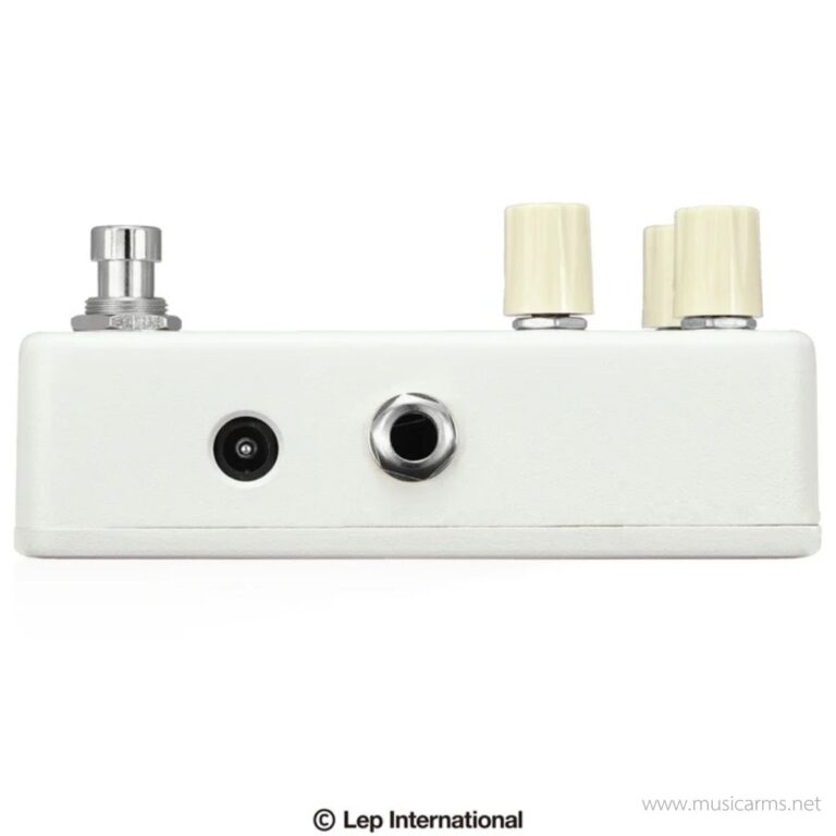 Animals Pedal Surfing Bear Overdrive ขายราคาพิเศษ