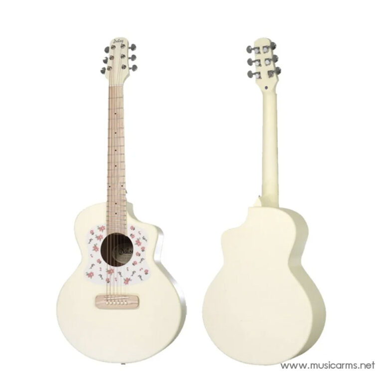 Daisy D-100 กีตาร์โปร่ง ขายราคาพิเศษ