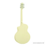 Daisy D-100 กีตาร์โปร่ง ขายราคาพิเศษ