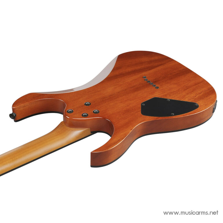 Ibanez GRGR221FA กีตาร์ไฟฟ้า ขายราคาพิเศษ