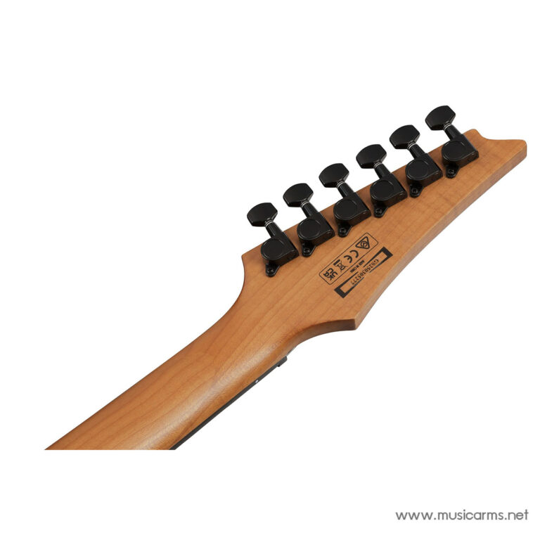 Ibanez GRGR221FA กีตาร์ไฟฟ้า ขายราคาพิเศษ