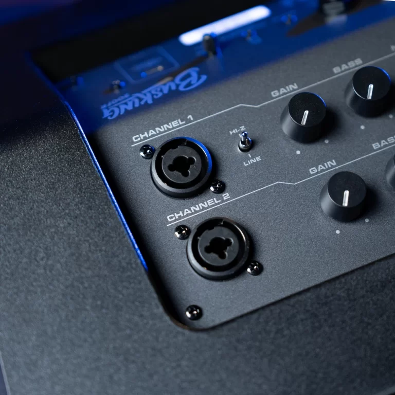 Close-up of a two-channel audio mixer panel showing Channel 1 and Channel 2 XLR inputs and gain knobs. ขายราคาพิเศษ