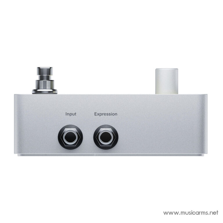 Silver guitar effects pedal with two black knobs labeled Input and Expression (front view). ขายราคาพิเศษ