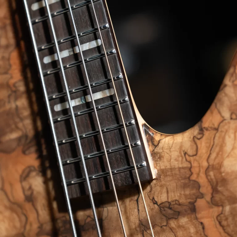 Close-up of a guitar neck and strings on a carved wooden body, showing frets and steel strings clearly. ขายราคาพิเศษ