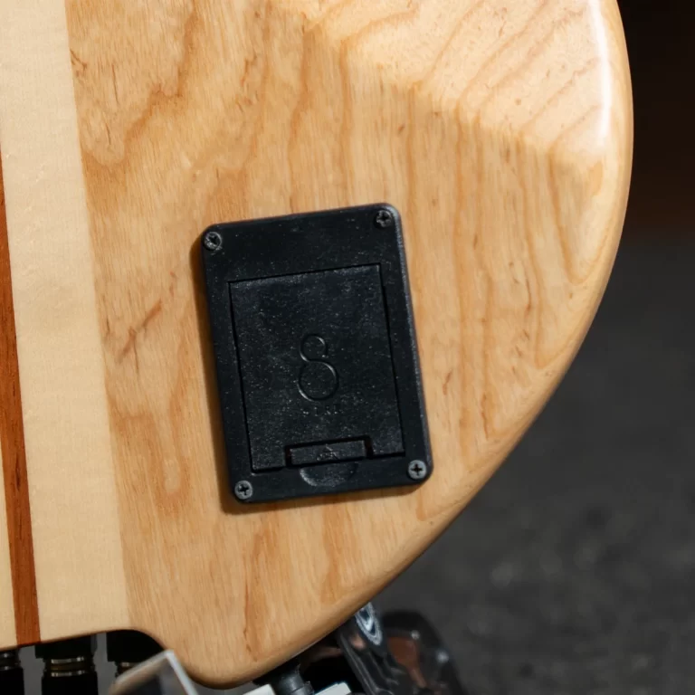 Black rectangular battery compartment cover on the side of a natural wood guitar, four screws at corners. ขายราคาพิเศษ