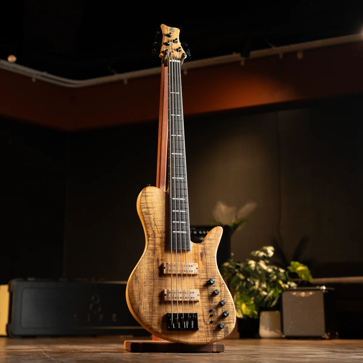 รูปตัวอย่างSire Marcus Miller F10DX 5 String 9 | Music Arms Sire Marcus Miller F10DX 5 String 9 | Music Arms