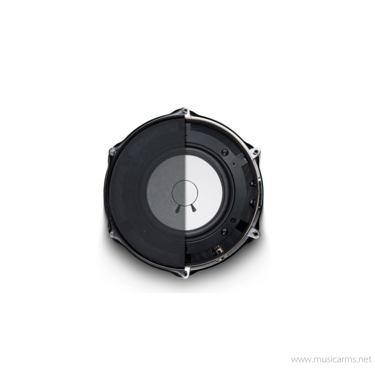 Avantone KICK ขายราคาพิเศษ