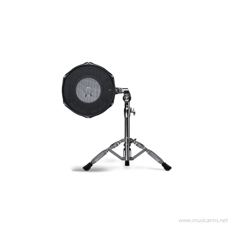 Avantone KICK ขายราคาพิเศษ