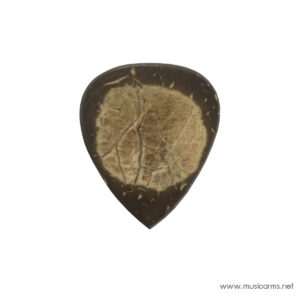 Clayton Exotics Coconutราคาถูกสุด