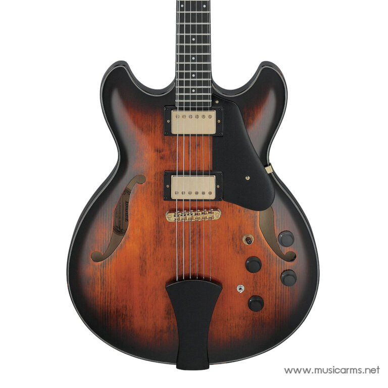 Sunburst semi-hollow electric guitar with two humbucker pickups, black pickguard, f-holes, and four control knobs seen from the front. ขายราคาพิเศษ
