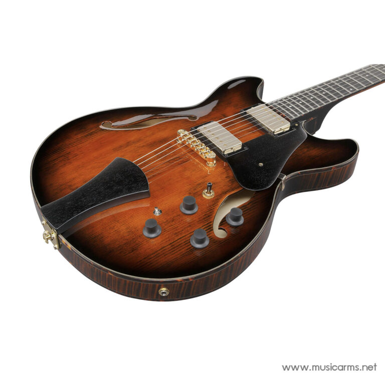 Sunburst hollow-body electric guitar with two humbucker pickups, gold hardware, and a black pickguard on a white background. ขายราคาพิเศษ