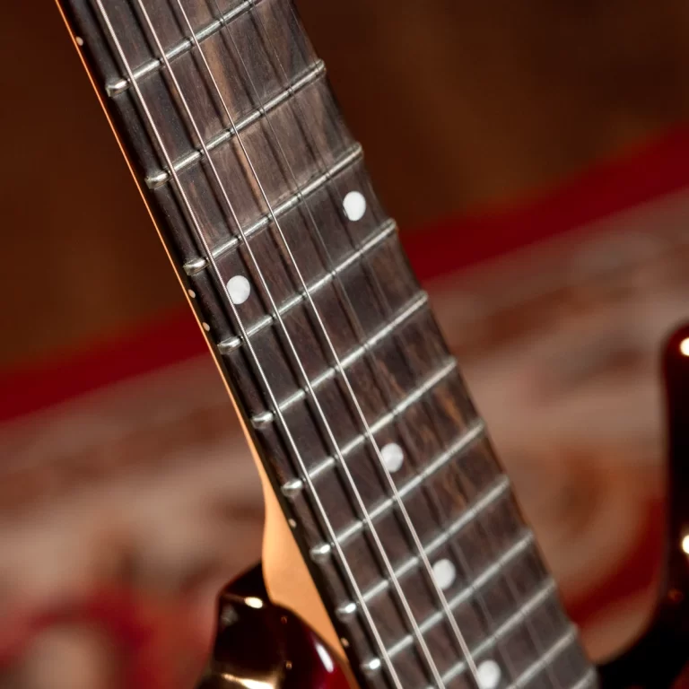 Close-up of a guitar fretboard with metal frets and white dot inlays. ขายราคาพิเศษ
