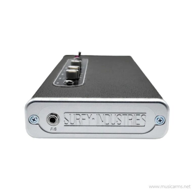 Surfy Industries SurfyBear Classic ขายราคาพิเศษ