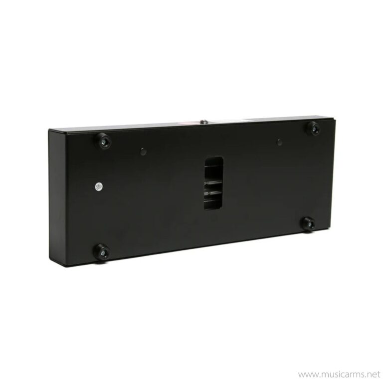 Surfy Industries SurfyBear Metal ขายราคาพิเศษ