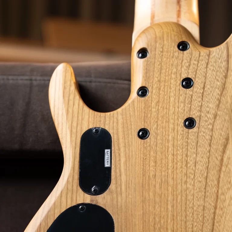 Back of a wooden electric guitar showing a battery compartment cover and several screws on the body. ขายราคาพิเศษ