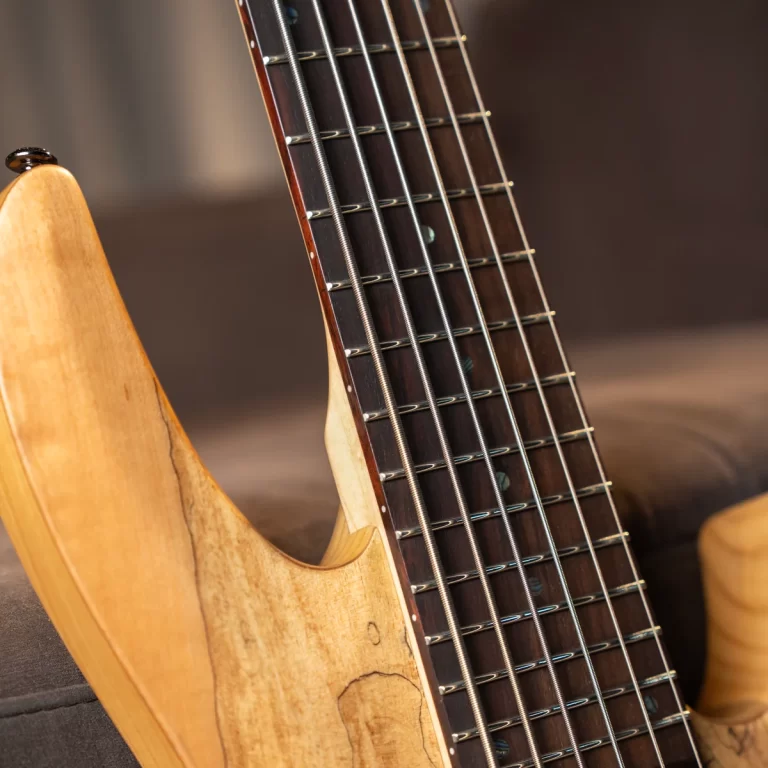 Close-up of a six-string guitar neck with frets and steel strings on a wooden neck. ขายราคาพิเศษ