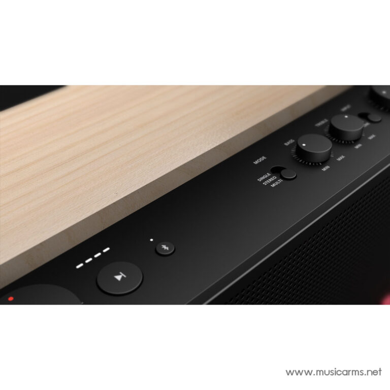 Fender ELIE12 ลำโพง Bluetooth ขายราคาพิเศษ