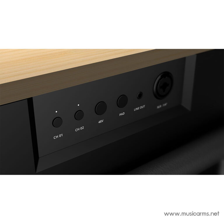 Fender ELIE12 ลำโพง Bluetooth ขายราคาพิเศษ