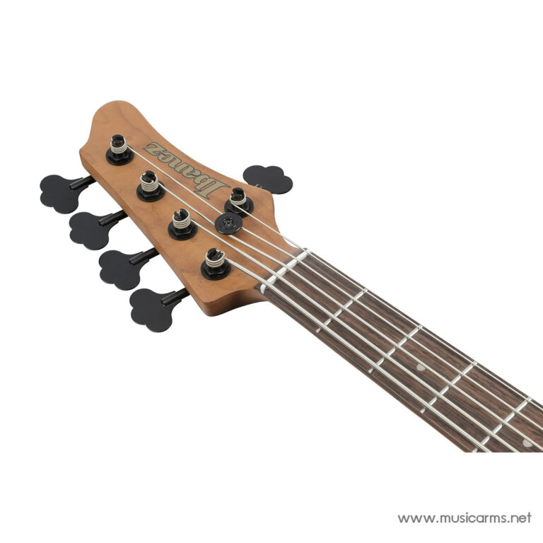 Close-up of a wooden guitar headstock with six tuning pegs and strings, brand name visible ขายราคาพิเศษ
