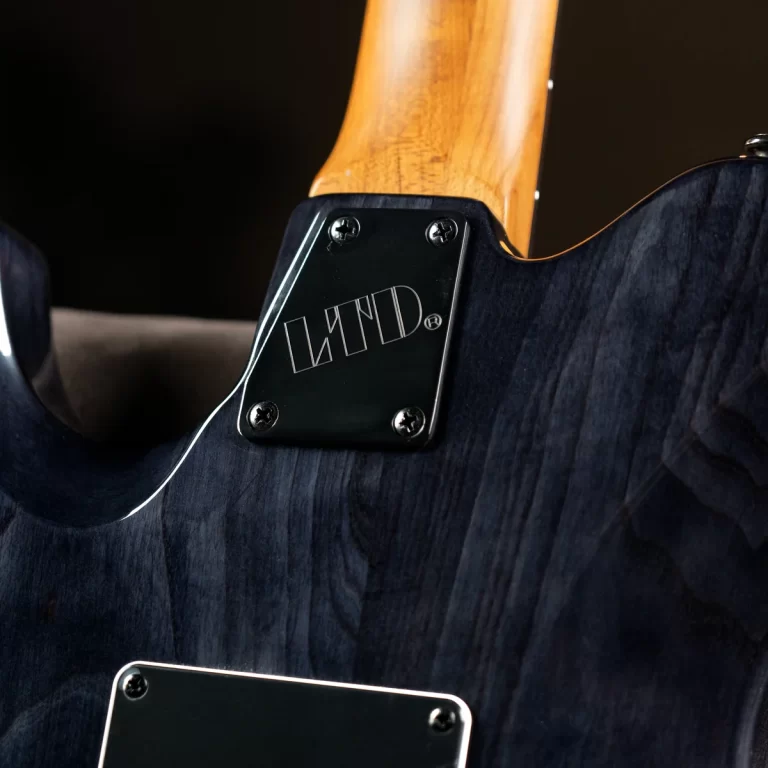 Close-up of an electric guitar's back: a black neck plate with four screws attached to a dark blue, figured wood body and a natural wood neck. ขายราคาพิเศษ