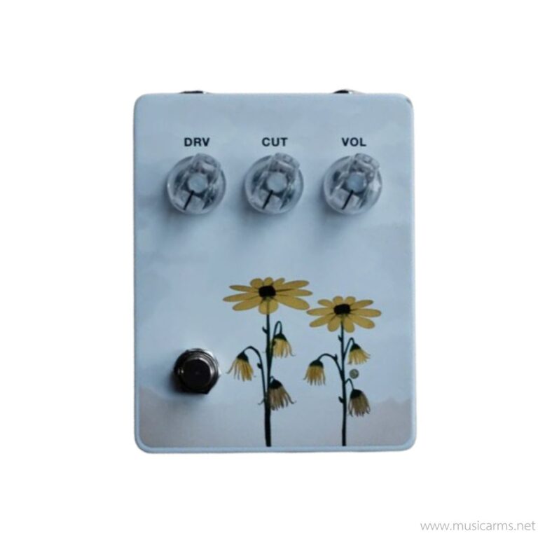 1981 Inventions MMHMM 20th Anniversary ขายราคาพิเศษ