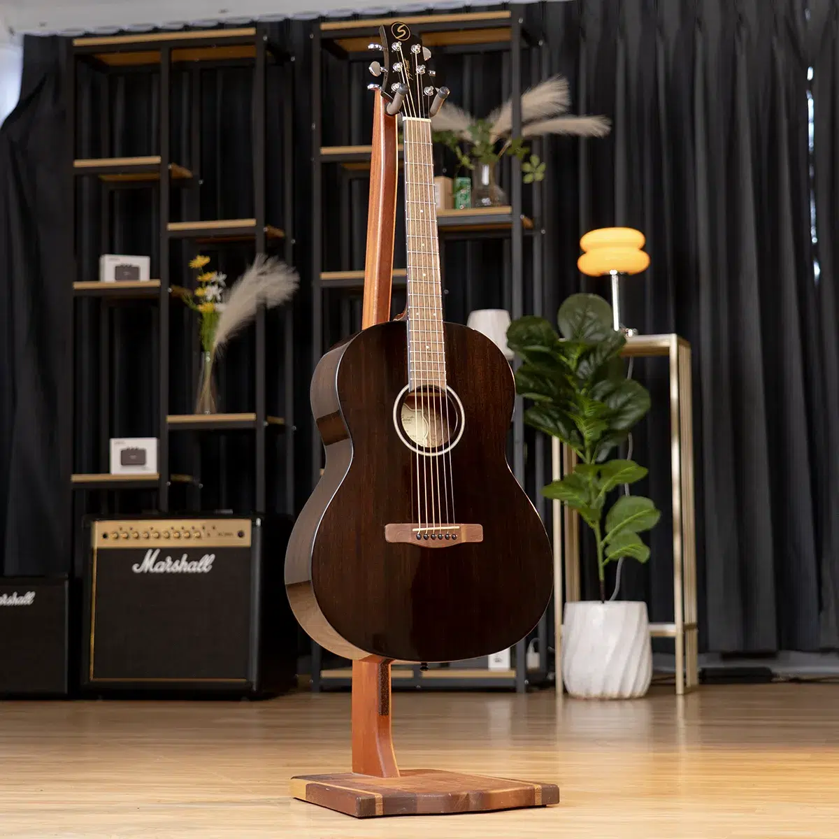 Dark wood acoustic guitar on a wooden stand in a music studio with shelves, amplifiers, and plants in the background.