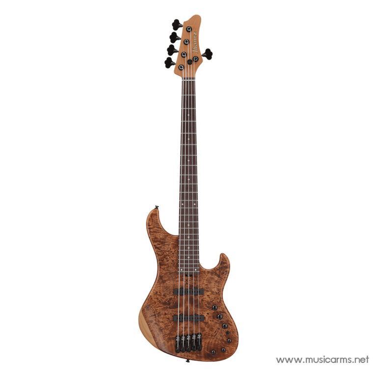 Five-string bass guitar with a quilted maple body and Ibanez headstock on a white background. ขายราคาพิเศษ