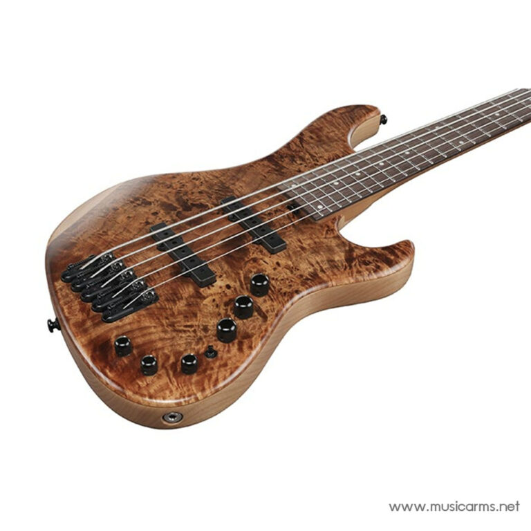 Five‑string wooden bass guitar with a quilted maple top, black pickups and control knobs, angled view ขายราคาพิเศษ