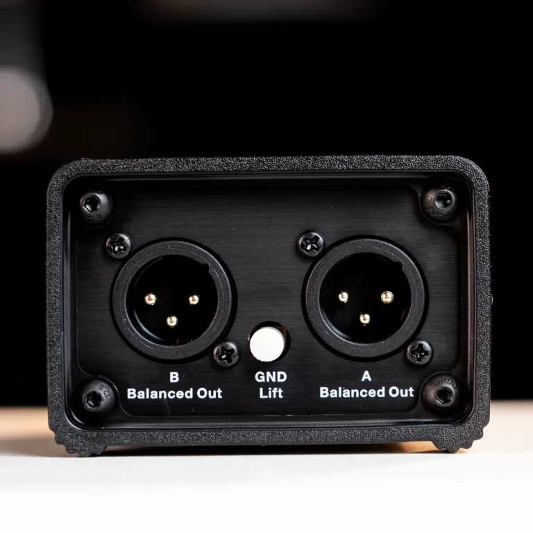 Dual XLR line outputs labeled A and B with a central ground-lift switch on a black panel image of an audio device back panel. ขายราคาพิเศษ