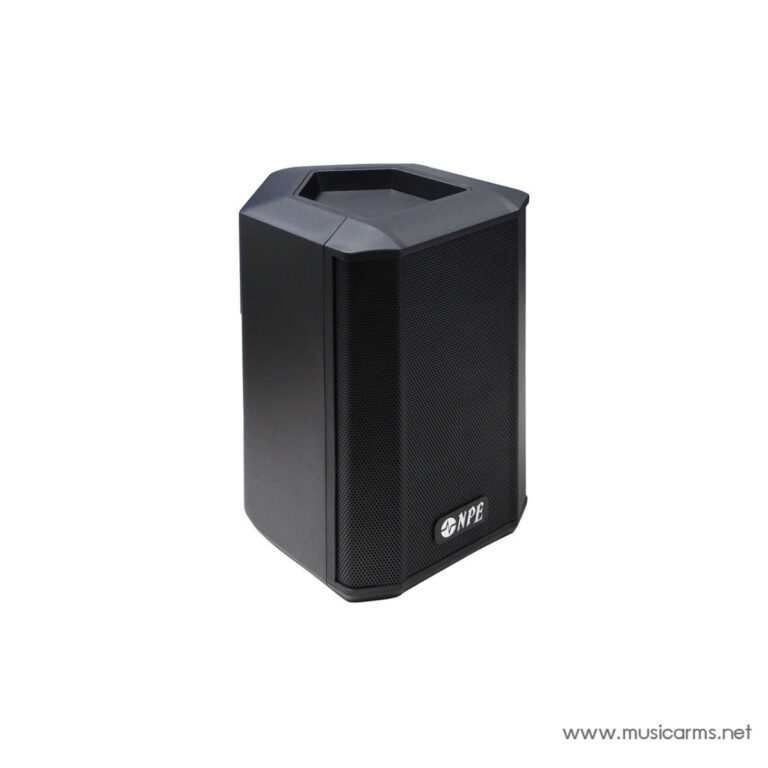 Portable black PA speaker with a front metal grille and a recessed top handle area, branded NPE on the lower front panel ขายราคาพิเศษ