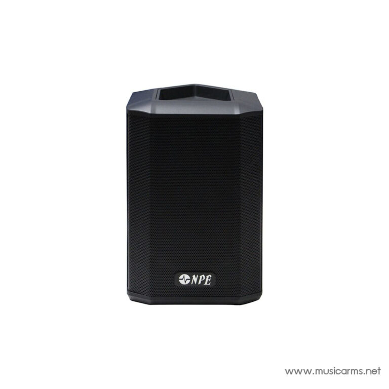 Tall black portable speaker with a perforated front grille and an NPE logo at the bottom. ขายราคาพิเศษ