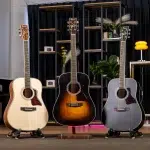 Three acoustic guitars on stands in a showroom, from left: natural wood, center sunburst, right gray finish, with shelves and plants in the background. ลดราคาพิเศษ