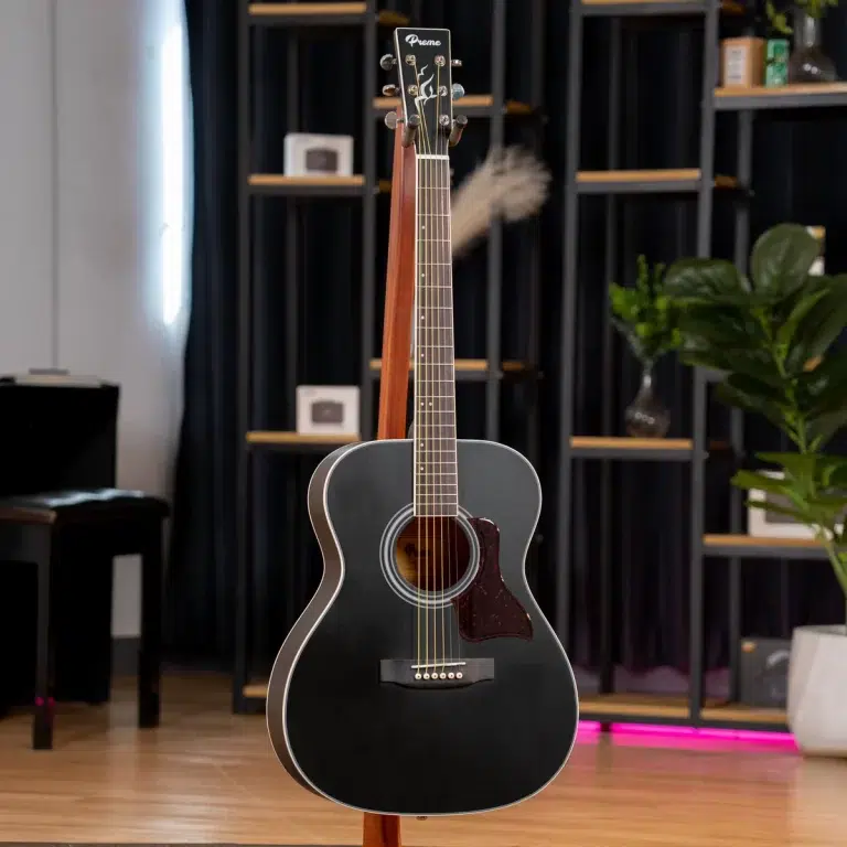 Black acoustic guitar on a stand in a showroom with shelves and plants in the background, center stage image. ขายราคาพิเศษ