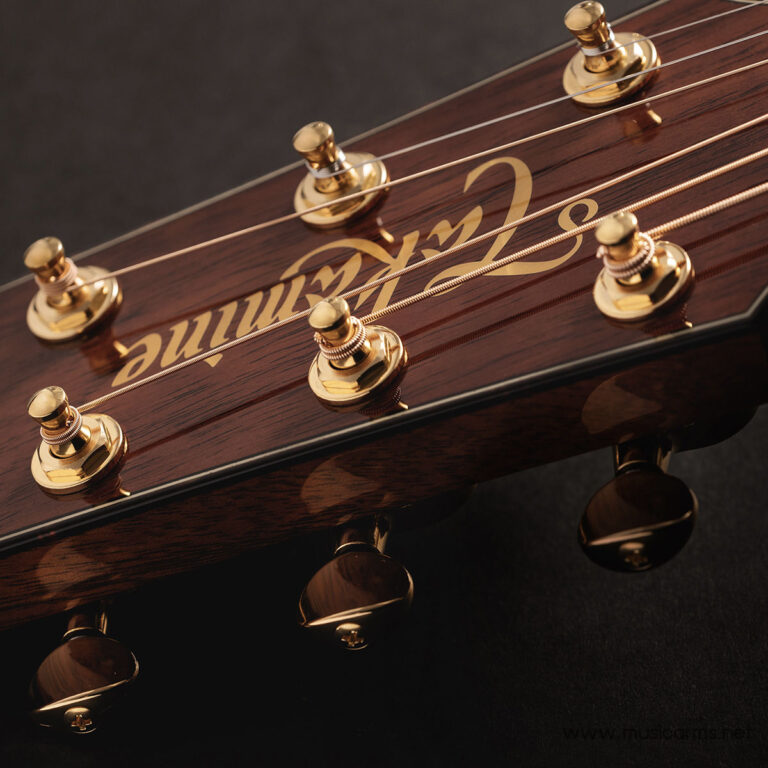Close-up of a polished wooden guitar headstock with six gold tuning pegs and wound strings. ขายราคาพิเศษ