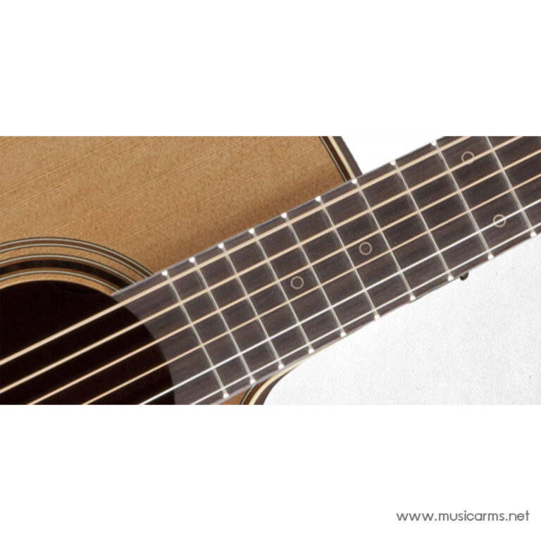 Close-up of an acoustic guitar neck and fretboard with metal frets, strings, and dot inlays on wood. Watermark www.musicarms.net appears in the corner. ขายราคาพิเศษ