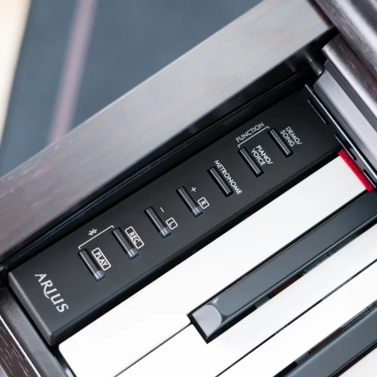 Close-up of a piano control panel with FUNCTION, PIANO/VOICE, DEMO/SONG, METRONOME, REC and PLAY buttons. ขายราคาพิเศษ