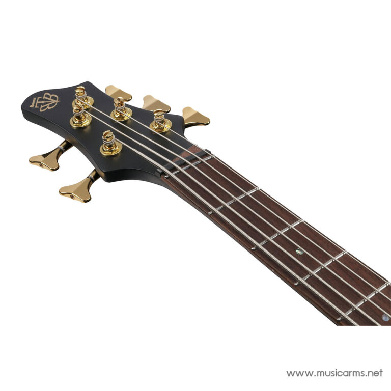 Close-up of a black guitar headstock with gold tuning pegs and six strings, attached to a dark wooden neck. ขายราคาพิเศษ