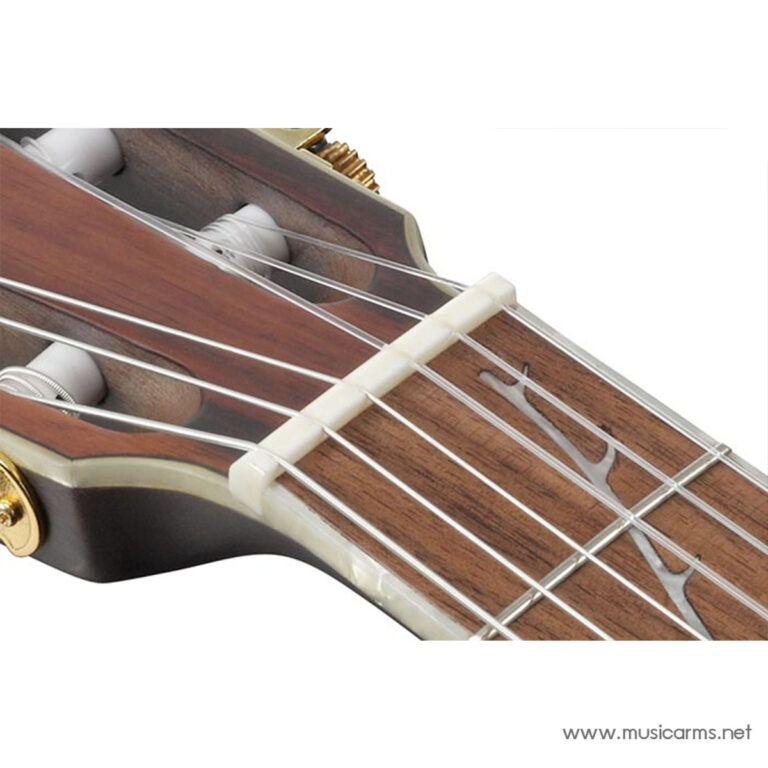 Close-up of a wooden guitar neck and headstock with metal strings crossing the nut and tuning pegs on the side. ขายราคาพิเศษ