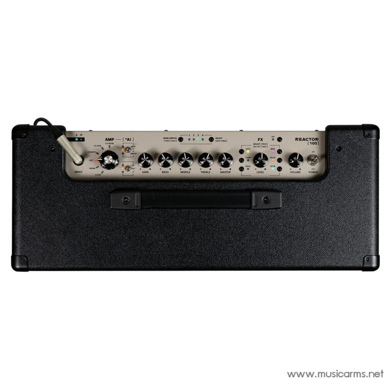 Guitar amplifier head with control knobs and input jack, seen from side, on black textured cabinet. ขายราคาพิเศษ