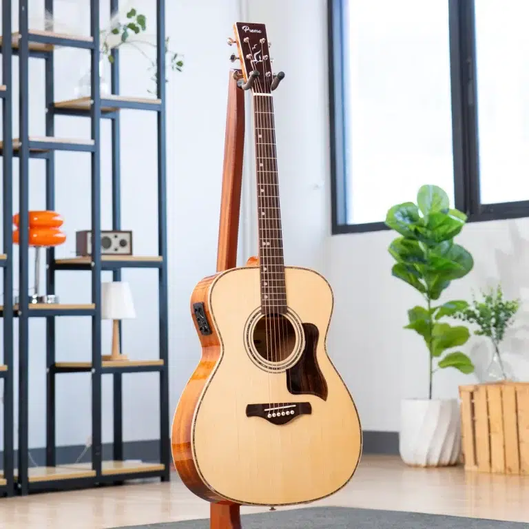 Acoustic guitar on a stand in a bright living room with shelves, a window, and potted plants in the background. ขายราคาพิเศษ