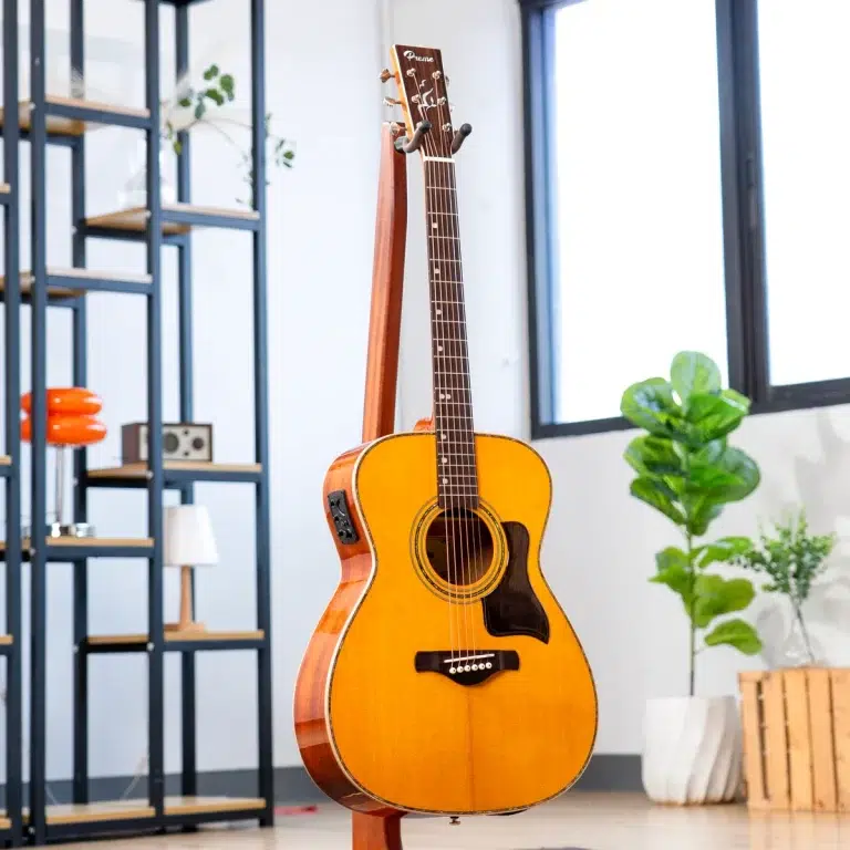 Acoustic guitar on a stand in a bright room with shelves and plants nearby. ขายราคาพิเศษ